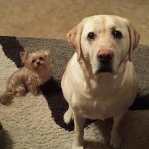 Meet your Posher, Kim